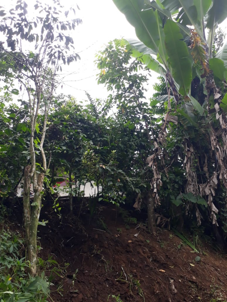 Senderan Jebol di Banjar Nungnung, Desa Pelaga, Kecamatan Petang Tanggal 27 Mei 2023